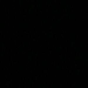 Meet your Posher, Alani